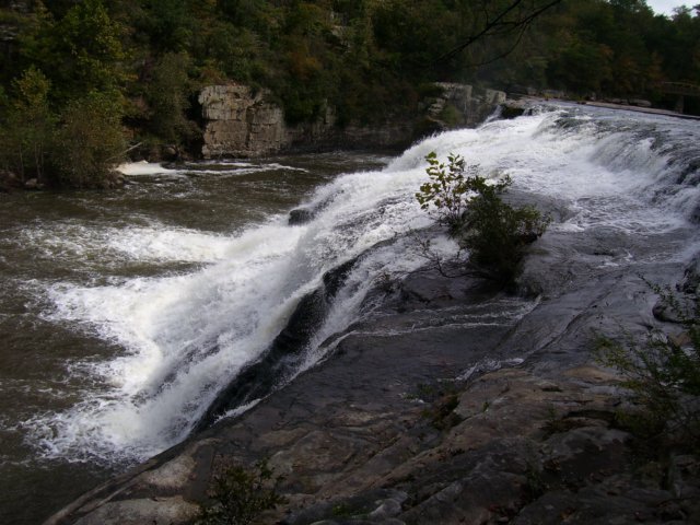 _2900.jpg