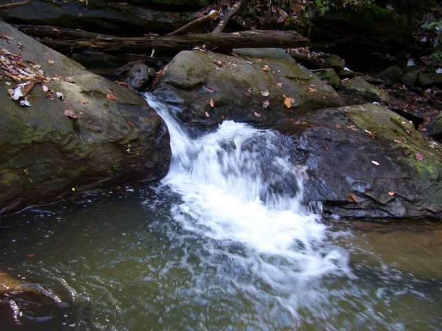 _3435.jpg