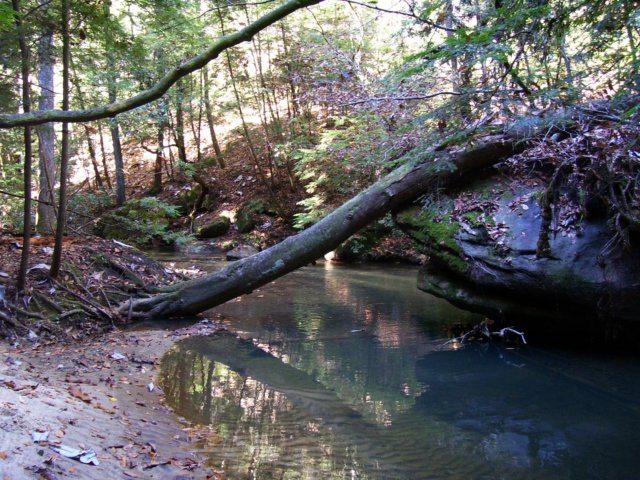 _3455.jpg