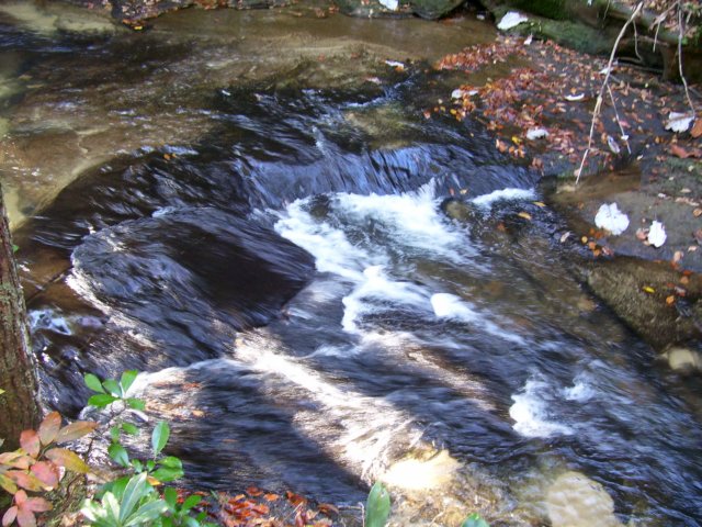 _3457.jpg