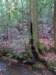 _3915_small.jpg
