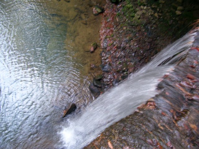 _3918.jpg
