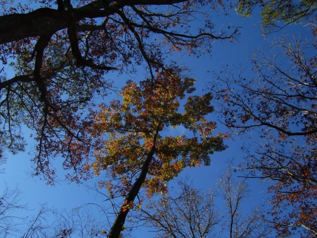 _3605.jpg