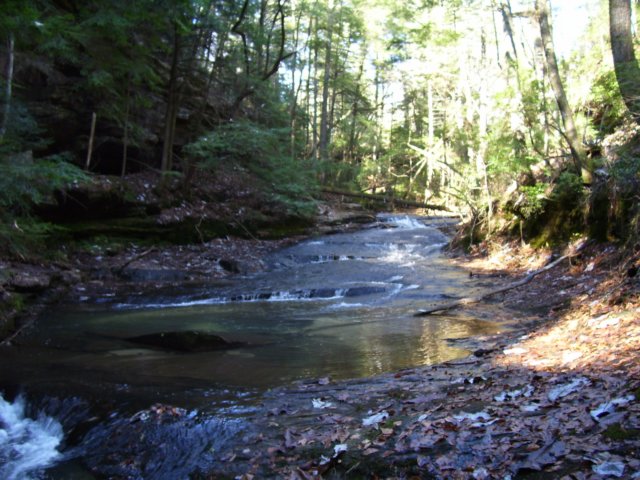 _4090.jpg