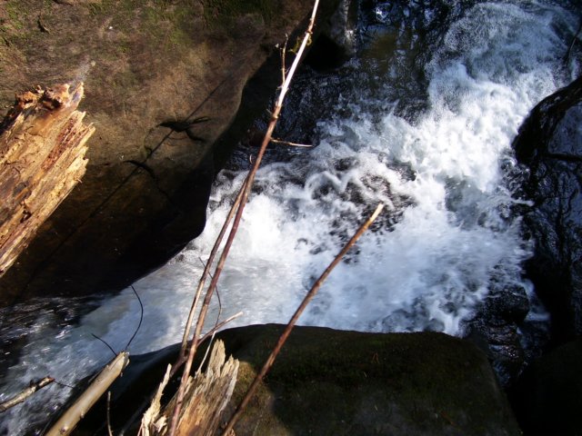 _4095.jpg