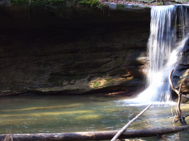 _4198.jpg