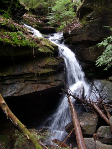 _4370.jpg