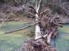 bridgeovercoldwater_small.jpg