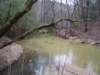 junctionofsidecreekhubbardcreek_small.jpg