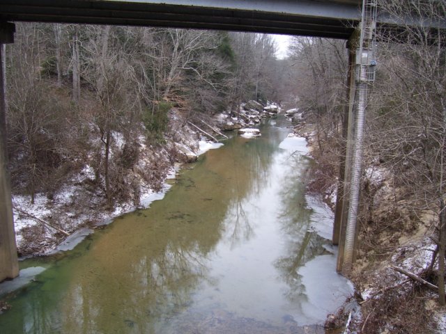 _4594.jpg