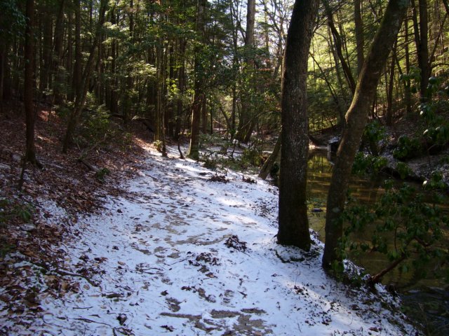 _4950.jpg