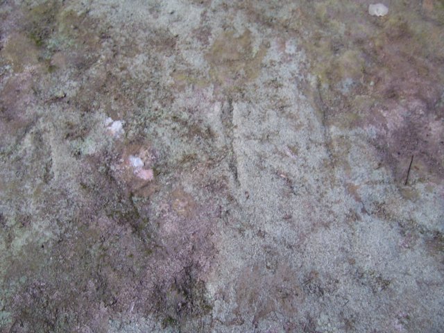 _5308.jpg