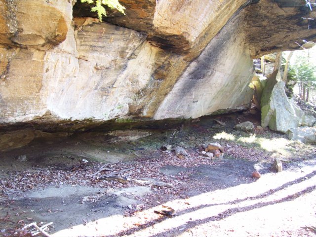 _5330.jpg