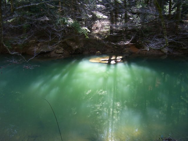 _5391.jpg