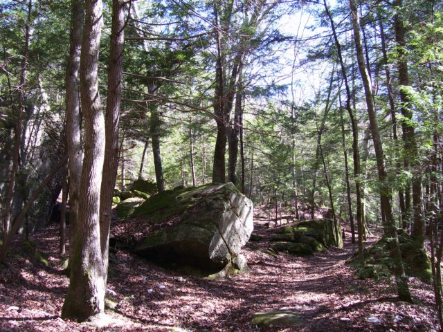 _5395.jpg