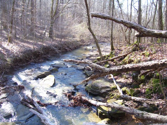 creekthatrunsthroughwhiteoakhollow.jpg