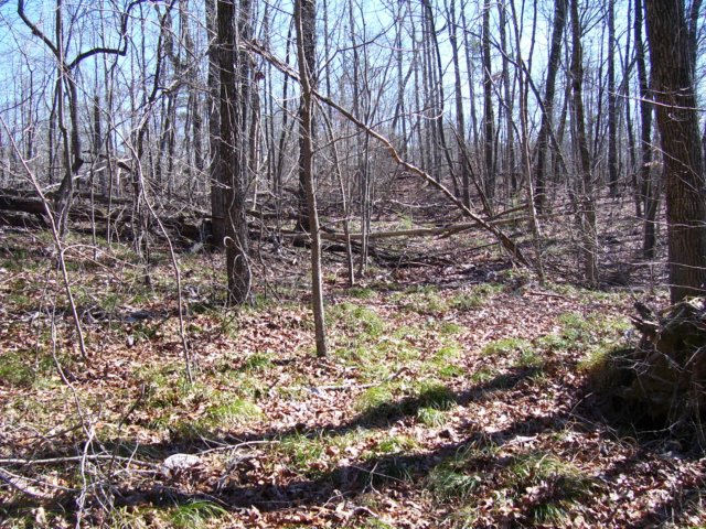 tr205.jpg