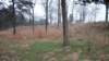 _0187_small.jpg