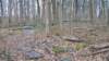 _0295_small.jpg