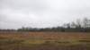 cottonfield_small.jpg