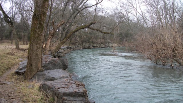mcfaddensford.jpg