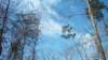 _0441_small.jpg