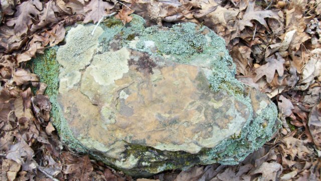 _0443.jpg