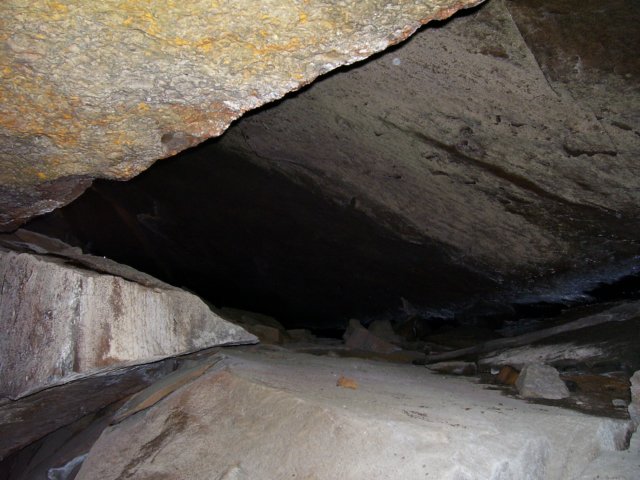 _5772.jpg