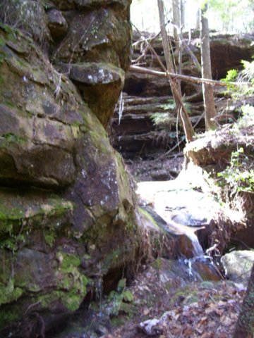 approachingthenextwaterfall.jpg