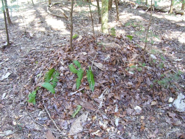 strangemounds.jpg