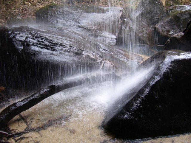 _5936.jpg