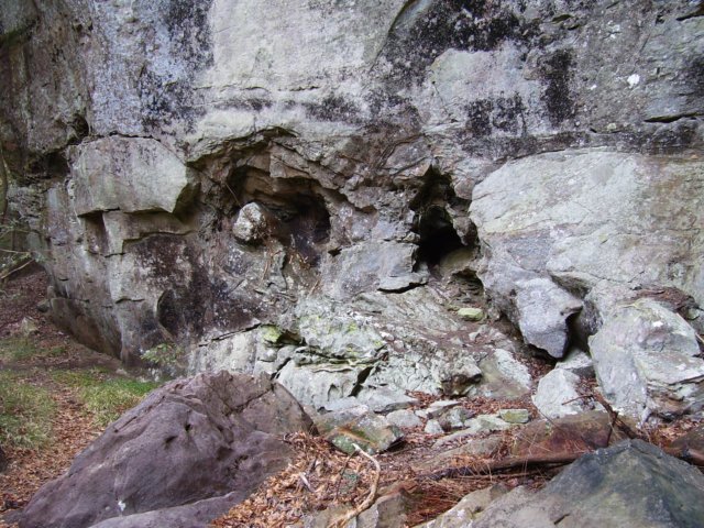 _5947.jpg
