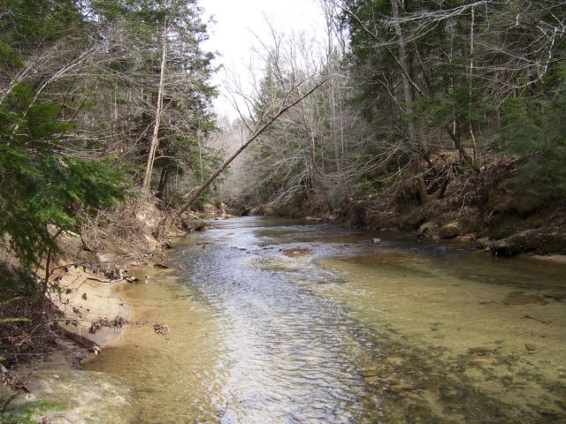 _5968.jpg