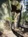 _6070_small.jpg