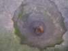 _6086_small.jpg