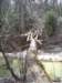 _6101_small.jpg