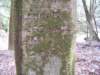 intialstree1_small.jpg