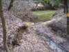 junctionofwhitecreekandsipseyriver_small.jpg