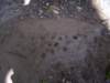 nuttingstone_small.jpg