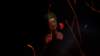 _0597_small.jpg