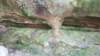 _0669_small.jpg