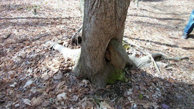 _0687.jpg