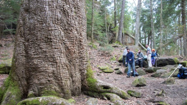 _0775.jpg