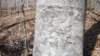 arborglyphs_small.jpg