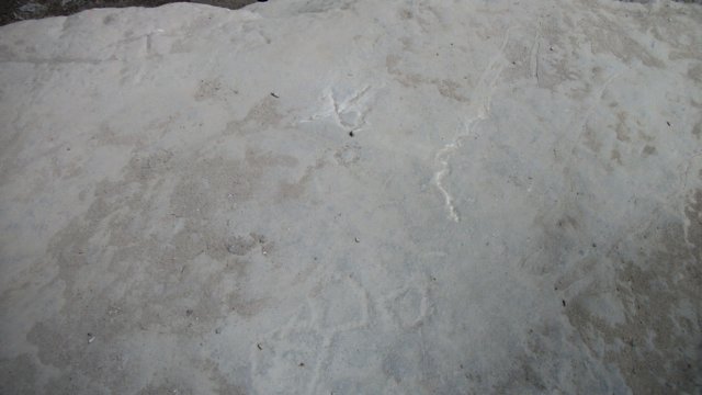 petroglyphs.jpg