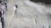 sunpetroglyph_small.jpg