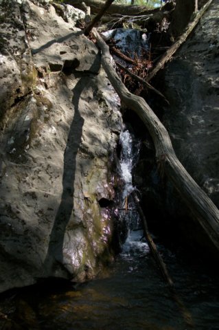 _1754.jpg
