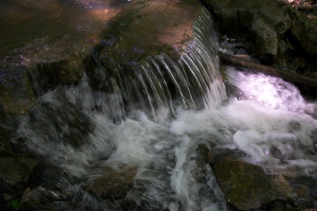 _2004.jpg