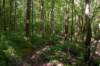 _2052_small.jpg