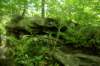 _2062_small.jpg